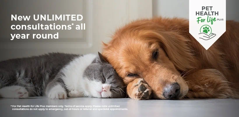 Cat and Dog Pet Health for Life Plans