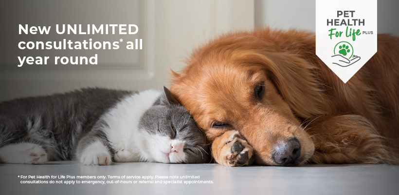 Cat and Dog Pet Health for Life Plans