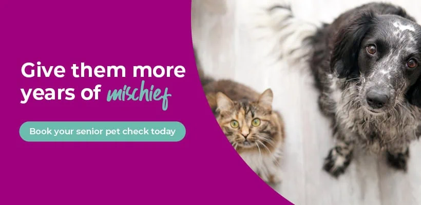 Donnachie & Townley Veterinary Centre in Rugeley & Stafford
