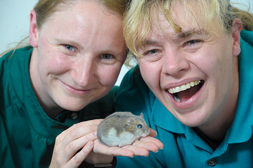 The team with the tiny hamster