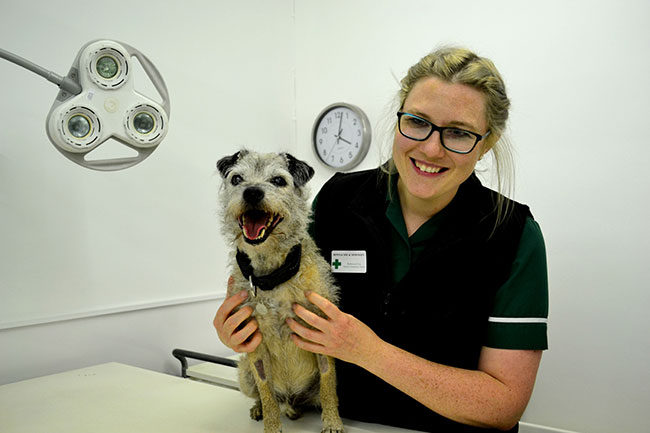 Vet holding Max