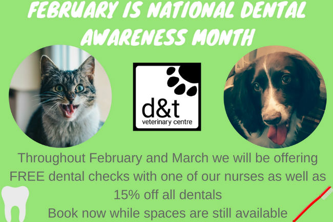 Dental Awareness Campaign infographic