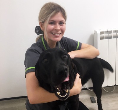 Belle having cuddles with Meg our student nurse