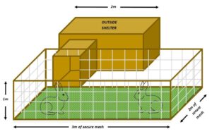 Rabbit hutch infographic