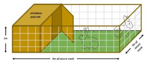 Rabbit hutch infographic