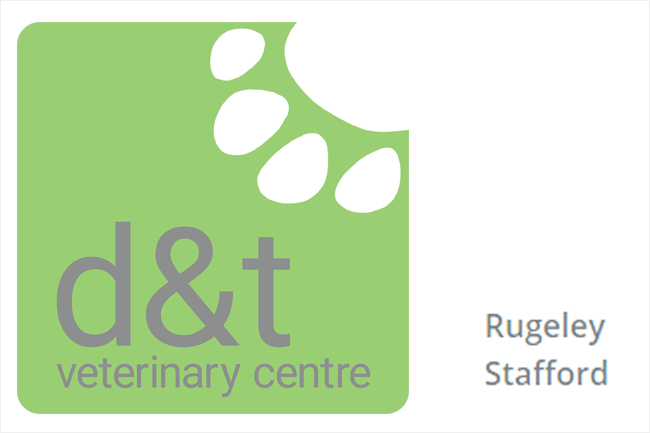 d&t vets in stafford