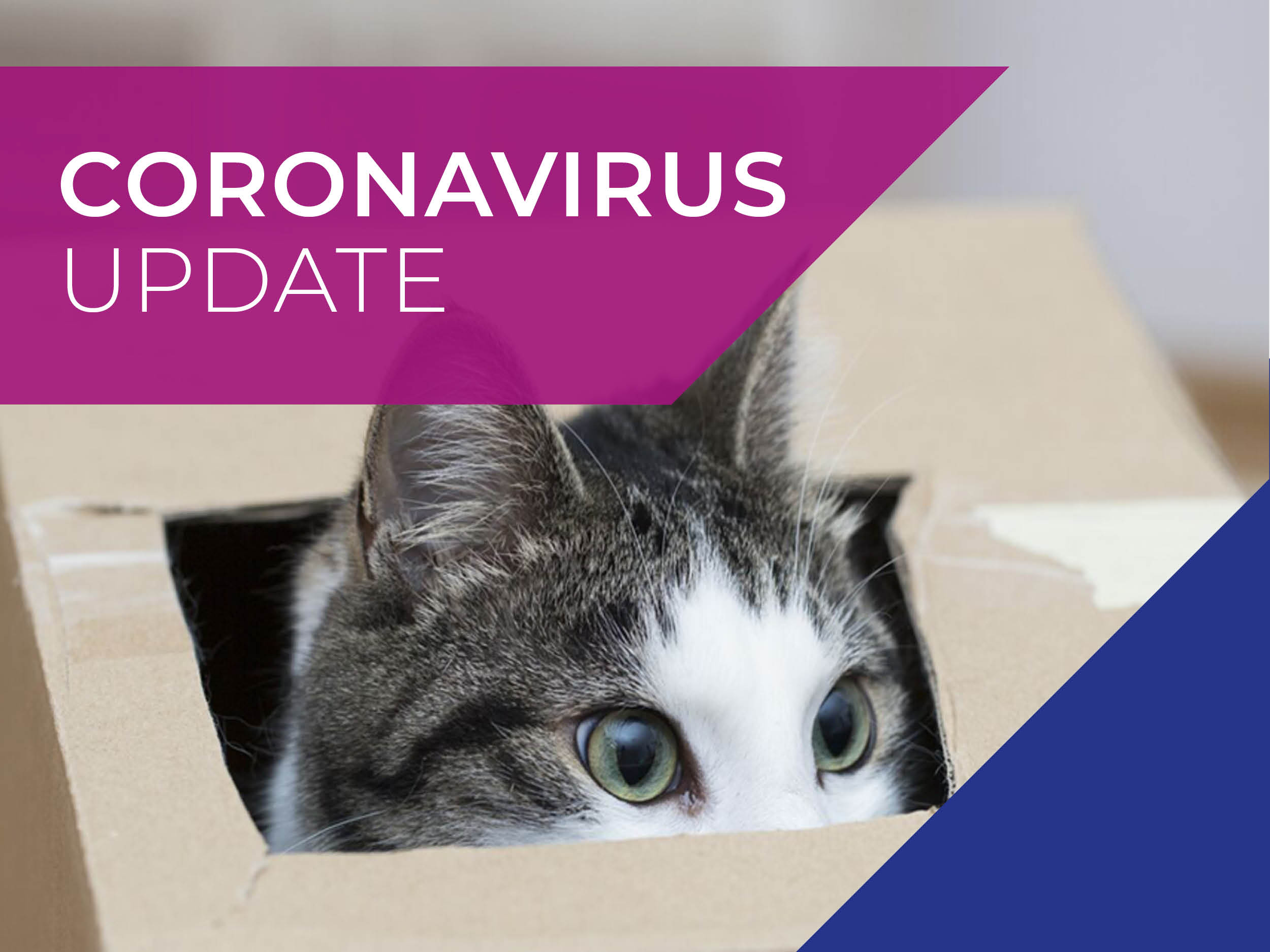 Coronavirus updates