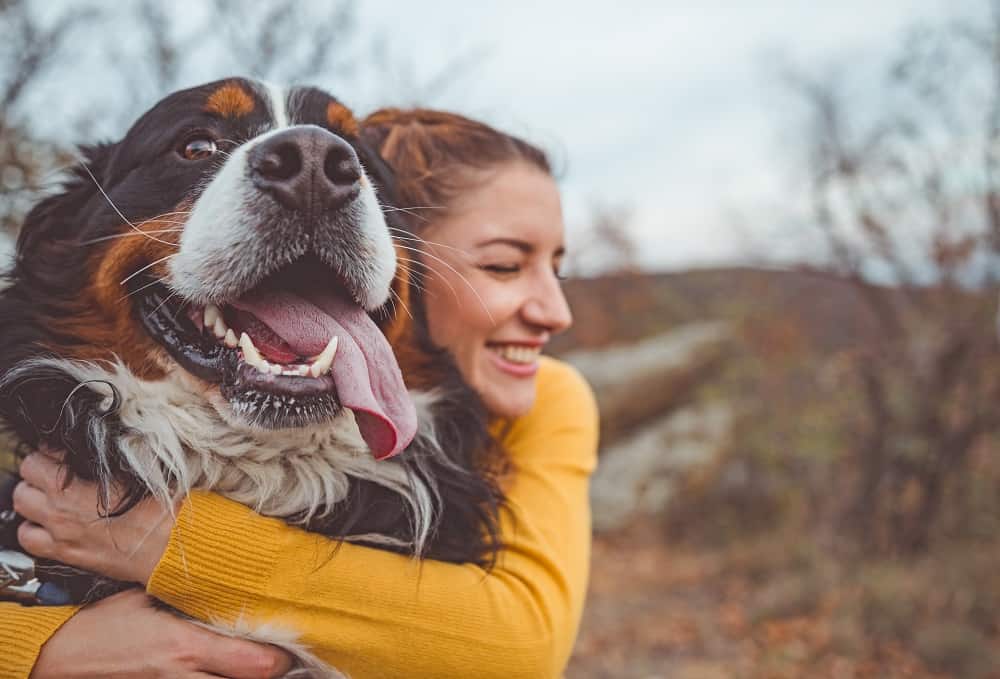 Happiness day-dog and owner