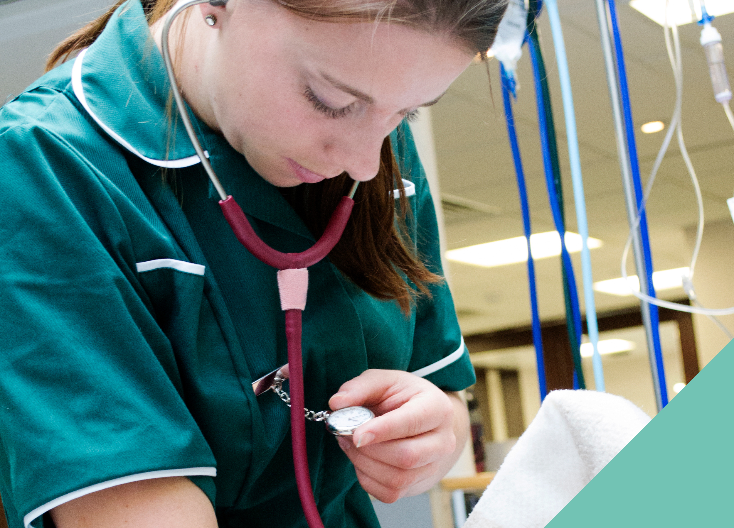 Veterinary nurse at work