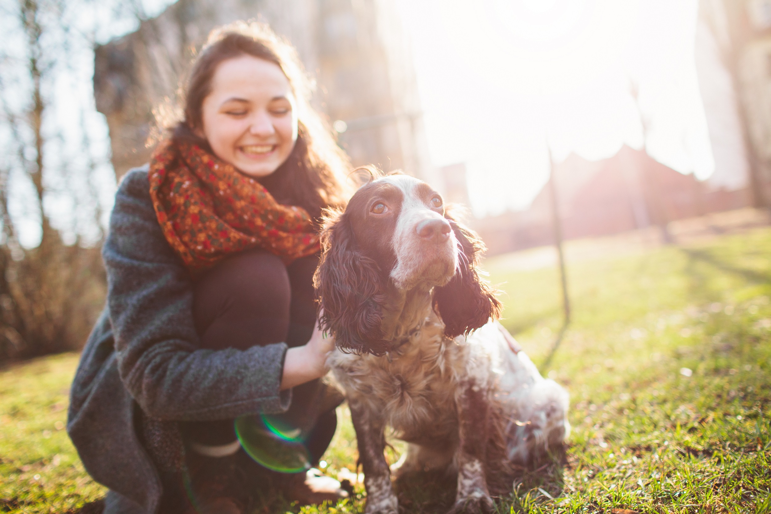 Hearing dogs