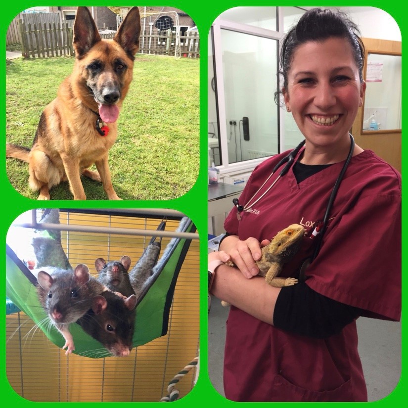 Vet nurse Bev Hawkins