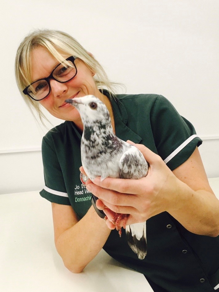 Holding a bird