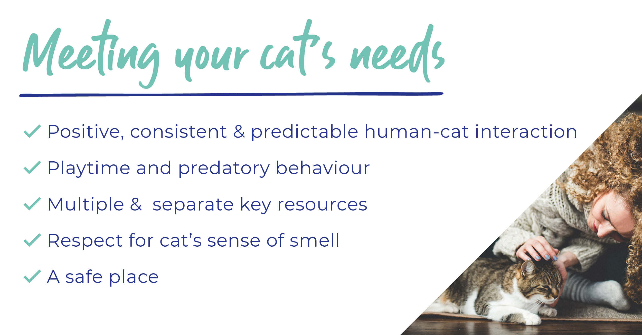 Meeting your cats needs
