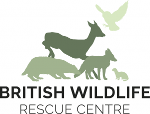 British Wildlife Rescue Centre