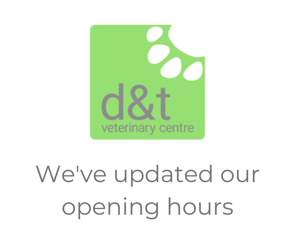 D&T opening hours