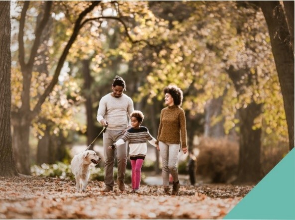 Keeping your pet safe this autumn