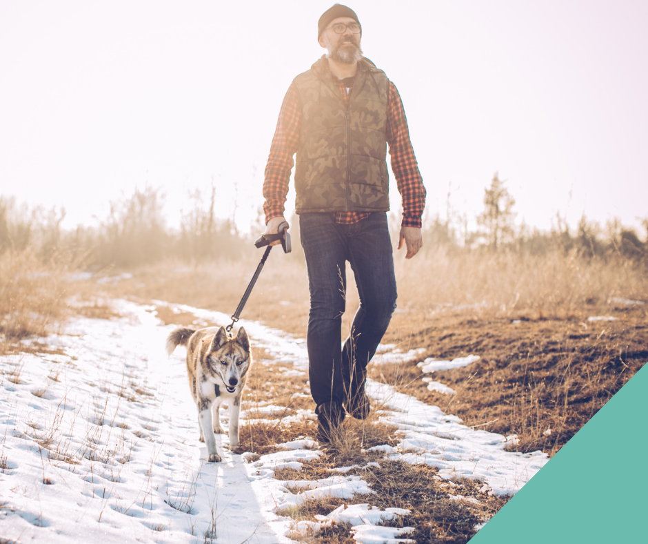 National Walk Your Dog Month
