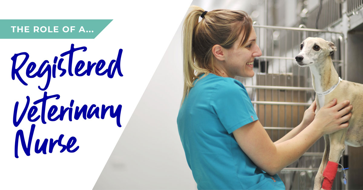 Role of an RVN
