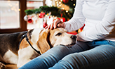 Senior woman with her dog at Christmas tree.