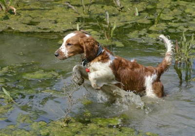 Danger in the deep