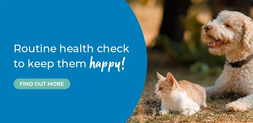 Parvovirus Vaccine for Dogs