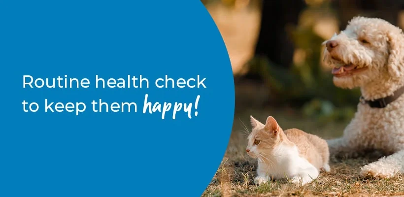 Pet Health Check in Rugeley | Preventative Vet Care