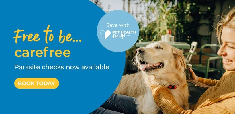 Parvovirus Vaccine for Dogs