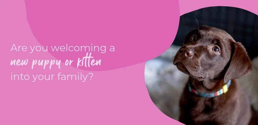 Start of Life for Your Puppy or Kitten