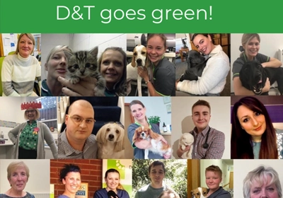 We go green – Investors in the Environment (iiE) bronze award