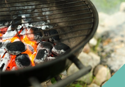 Barbecue dangers to pets